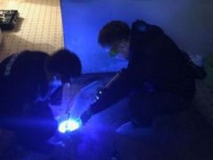 Житель Покровска задержан по подозрению в убийстве супруги