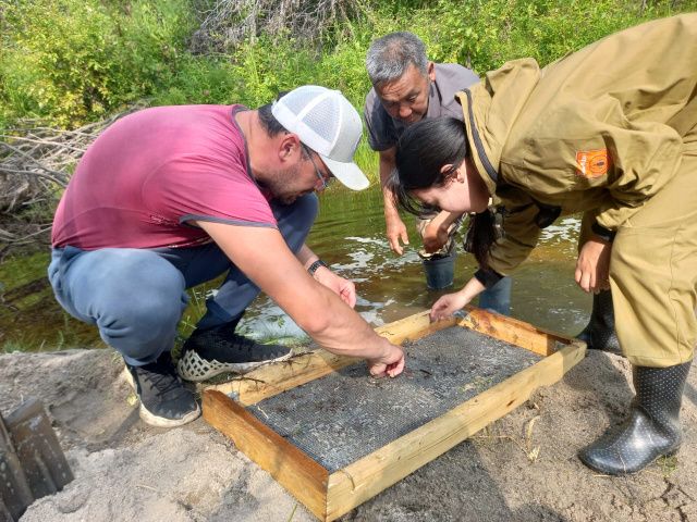 В Якутии обнаружены уникальные палеонтологические находки