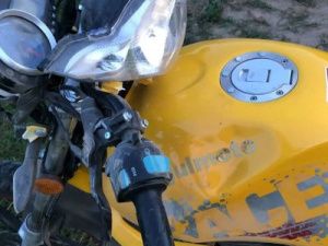 В Якутии мотоциклист врезался в... жеребца