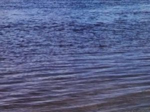 Найдено тело утонувшего в Олекминском районе мужчины