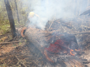 Группировку парашютистов-десантников для борьбы с пожарами в Якутии увеличат