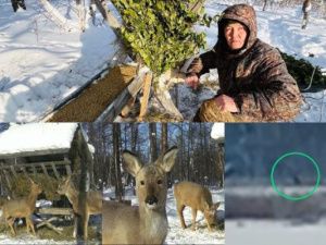 Якутский фотограф стал ангелом-хранителем для диких косуль