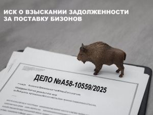 ИП из Бурятии не заплатил за якутских бизонов