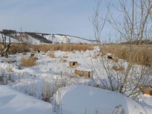 Острый сигнал: "В ТК "Чочур Муран" обустроили открытый загон для своих питомцев прямо на водоеме"