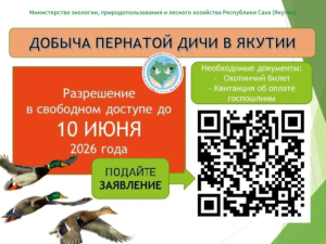 Осталось 102 дня до открытия сезона охоты на водоплавающую дичь