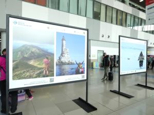 «Дальний Восток — Земля приключений»: фотовыставку в аэропорту Владивостока посетили более 50 тысяч человек