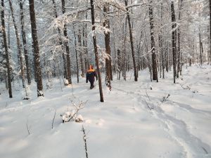 В Нюрбинском улусе продолжаются поиски пропавшей без вести пенсионерки с деменцией
