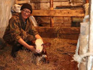 В «Полюсе Холода» родился телёнок Арктика