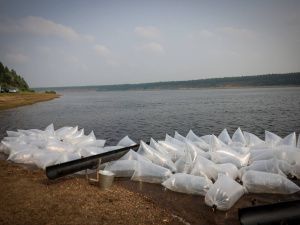 В Якутии в реку Вилюй выпустили ещё 15 тысяч мальков сибирского осетра