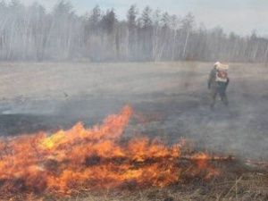 В Якутии тушат уже восемь лесных пожаров