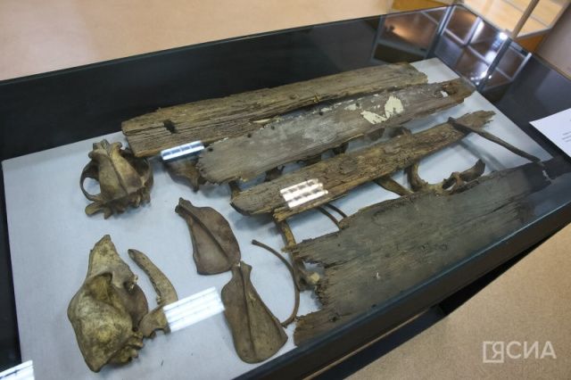 Жуткий обряд в Якутии: Останки собак и детские колыбели…