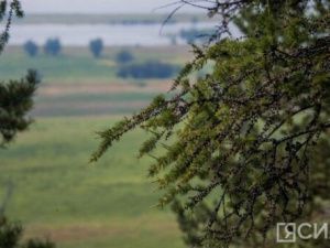 Внимание! Штормовое предупреждение!