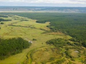 Площадь лесных пожаров в Якутии превысила 40,000 га