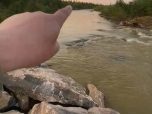 Недропользователи в Якутии обнаглели до такой степени, что самостоятельно изменили русло реки