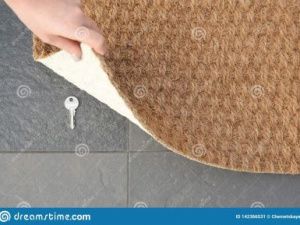 Житель Якутска обворовал соседку