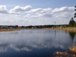 Владимир Федоров поручил усилить системную работу по санитарной очистке территорий