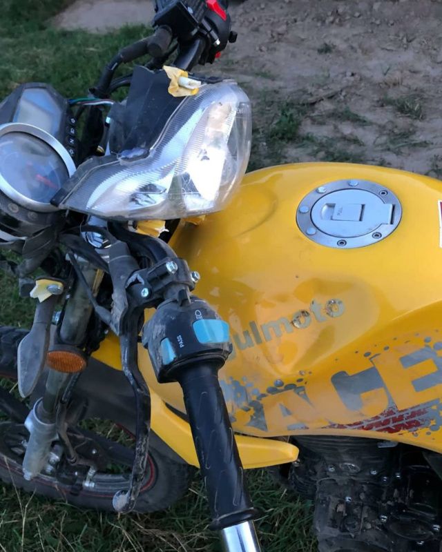 В Якутии мотоциклист врезался в... жеребца