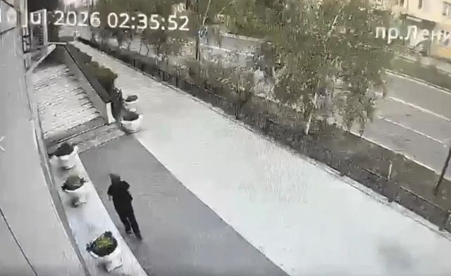 Женщина в Якутске украла 33 куста цветов с клумбы после ссоры с сожителем