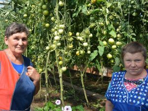 Якокитский агропром