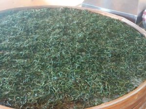 Компания «СахаЧай» открыла новый цех по производству чая