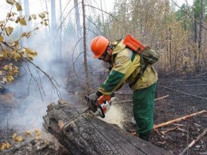 В Якутии высохли болота и превратились в пожароопасный ковер — авиалесоохрана