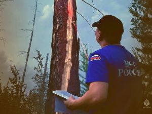 Пожароопасный сезон в Якутске: штрафы до 800 000 рублей, уголовная ответственность и награда за информацию о виновных в возникновении лесных пожаров