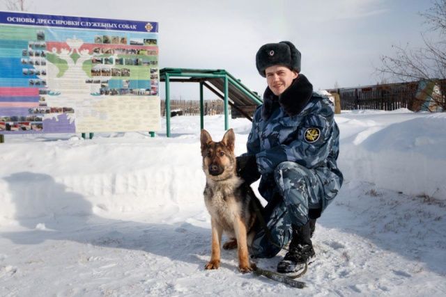 Восемь щенков служебных собак пополнили ряды кинологической службы республиканского управления ФСИН