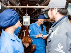 Якутская птицефабрика выполнит годовой план производства в 100 млн яиц