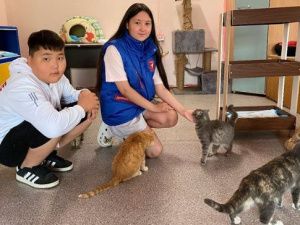 Уроки доброты. Первые пришли в приют «Четыре лапы», созданный фондом волонтеров