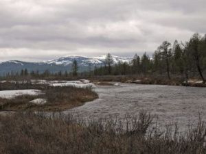 Затянувшийся шлам: Кто и почему загадил реки в Нерюнгринском районе