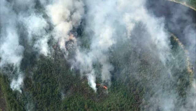 В Якутии действует 97 природных пожаров