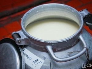 В Якутии заготовлено 46% от годового плана сырого молока
