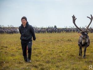 В 2024 году 28 миллионов рублей направят на программу «Молодой оленевод»