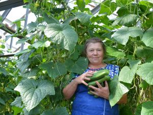 Якокитский агропром