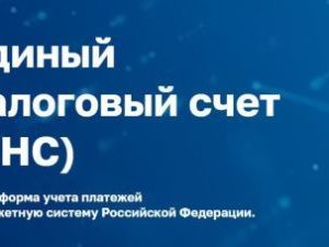 Про Единый налоговый счет можно подробно узнать на промостранице сайта ФНС России