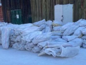 В Якутии возбуждены уголовные дела в отношении выходца из Украины и улусного депутата