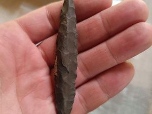 Более 30 тысяч артефактов найдено археологами в Мирнинском районе