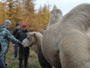 Айсен Николаев посетил уникальный Плейстоценовый парк в Нижнеколымском районе