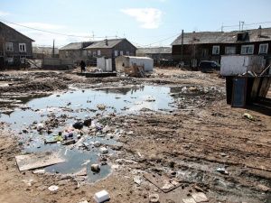 Владимир Федоров: «Региональный оператор обязан вовремя вывозить мусор»