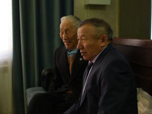 На более чем пять сотен увеличилось поголовье якутского скота за четыре года