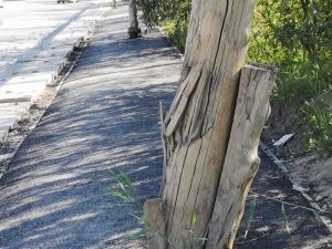 «Откровенная халтура!». Мэр Якутска отказалась принимать работы, проведенные по улице Бестужева-Марлинского