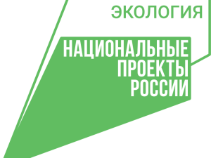 Более 68 000 детей прошли уроки экологического просвещения в Якутии