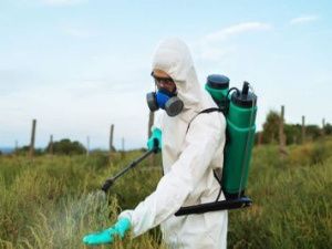 Жители Нюрбы поздно узнали об обработке полей пестицидами