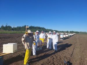 Иппотерапия и отдых в апидомиках: семья из Вилюйского района открыла уникальную экоферму