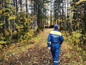 Пропавший в Алданском районе пожилой мужчина обнаружен мертвым в лесу