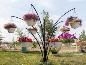 В УФСИН завершился ежегодный конкурс на лучшее благоустройство и озеленение территории 