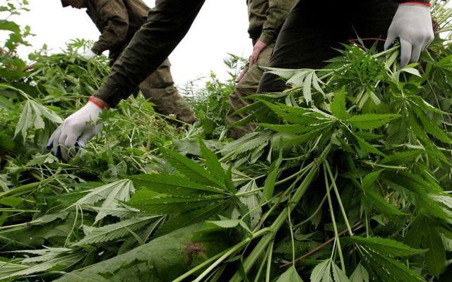 СМИ: В Якутии прошли задержания полицейских