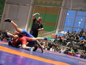 Фоторепортаж. Главные схватки чемпионата Якутии по вольной борьбе