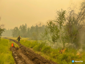 Лесным ведомствам Иркутской области, Красноярского края и Якутии поручено своевременно принимать меры по тушению лесных пожаров
