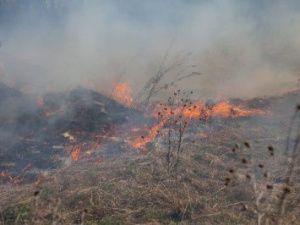 Глава Якутии: "Снимать режим ЧС в отдельных районах не планируется"